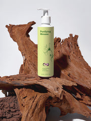 Purifying Mousse